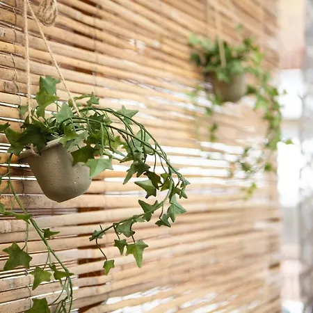 The Cozy Cube - With Patio Апартаменты