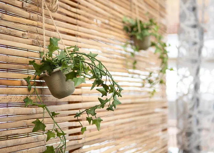 The Cozy Cube - With Patio 公寓